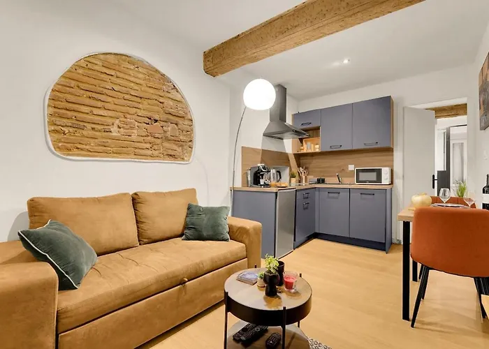 T2 Carmes Cosy-centre Historique & Capitole 5 Min *