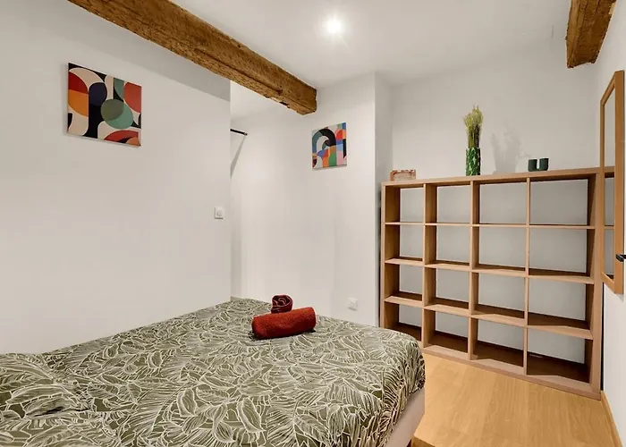 Daire T2 Carmes Cosy-centre Historique & Capitole 5 Min